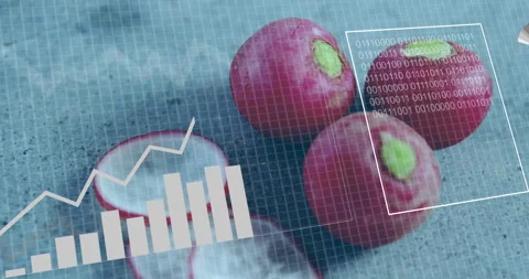 Overlaying data charts and binary code, animation of radishes in school project Stock Footage 305192725