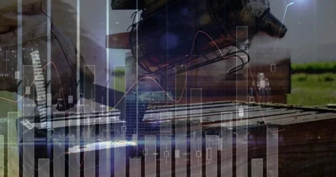 Overlaying stock data over beekeeper scraping hive pumping smoker and opening Stock Footage 328354888