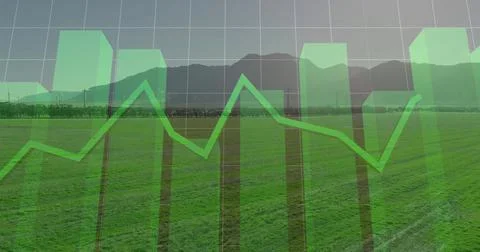 Overlaying translucent green bar chart and line graph over grassy field, with 스톡 사진
