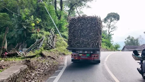 Overloaded Lorry Carrying Sugar Cane Through Forest 動画素材 345153691