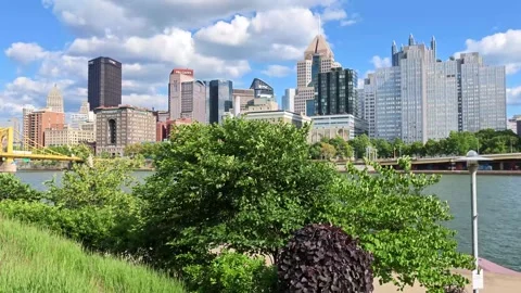 Overlook of the Allegheny River with the cityscape in the background. Vídeos de archivo 339061530