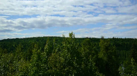 Overlook Green Forest with Blue, Cloud Filled Sky Stock Footage 33527479