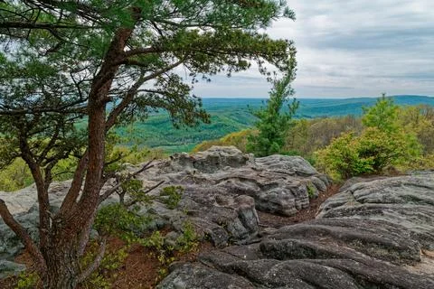 Overlook view on the mountain Stock Photos