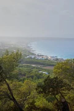 Overlooking the beach 写真素材
