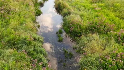 Overlooking the clear brook, the water reflected the blue sky and white clouds Stock Footage 169793942