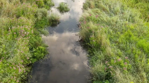 Overlooking the clear stream Stock Footage 169793906
