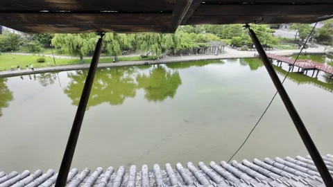 Overlooking a Crystal Clear Pool from Above Stock Footage 328092034