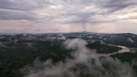 Overlooking the Ecuadorian Amazon at dawn Stock Footage 269512149