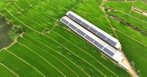 Overlooking farm paddy fields and solar farms Stock Footage 257041777