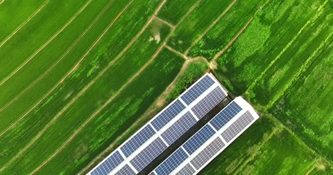 Overlooking farm paddy fields and solar farms Stock Footage 257041792