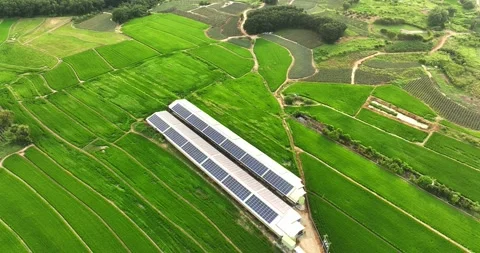 Overlooking farm paddy fields and solar farms Stock Footage 257041812