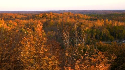 Overlooking a Forest in the Fall Stock Footage 115259555
