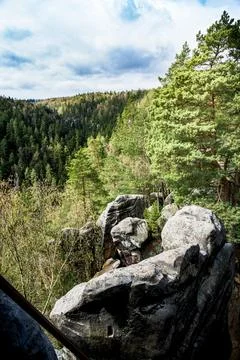  Overlooking Forest From Hilltop Stock Photos
