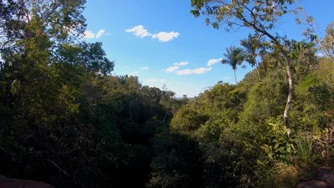 Overlooking forest from top of waterfall Stock Footage 115094197