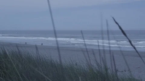 Overlooking a grassy beach on a cold and cloudy day Stock Footage 81343797