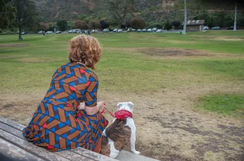 Overlooking the grassy park. Stock Photos