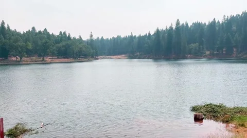 Overlooking a lake 動画素材 219226905