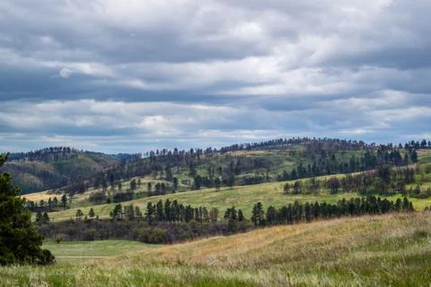 An overlooking landscape view of Custer State Park, South Dakota Stock Photos
