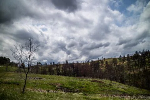 An overlooking landscape view of Custer State Park, South Dakota Stock Photos
