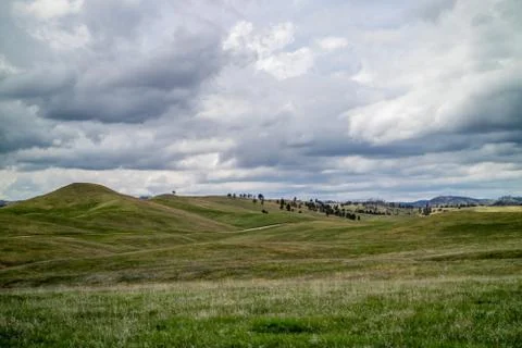 An overlooking landscape view of Custer State Park, South Dakota Foto stock