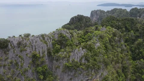 Overlooking the limestone cliffs and the Andaman Sea in Thailand Vidéo 170285021