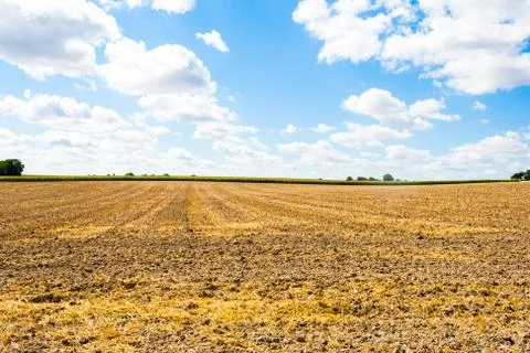 Overlooking a mowed cornfield with clouds Stock Photos
