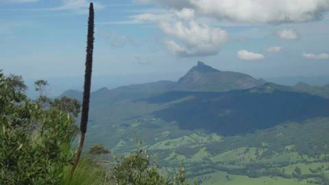 Overlooking Mt Warning From the Pinnicle Видео 297715642