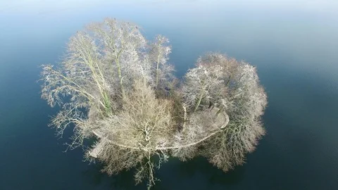Overlooking Nature Lakeside Environment in Beautiful Spring Season Video stock 98557933