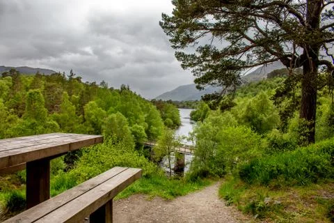 Overlooking a river in peace 写真素材