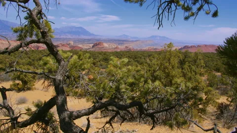 Overlooking the southern tip of Capitol Reef National Park and Strike Valley Stock Footage 168263765