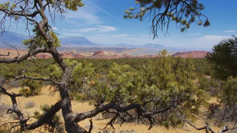 Overlooking the southern tip of Capitol Reef National Park and Strike Valley Stock Footage 168265886