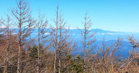 Overlooking on the top of Fuji Mountain, time lapse. 動画素材 295758354