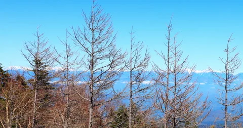 Overlooking on the top of Fuji Mountain, time lapse. 動画素材 295758482