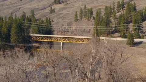 Overlooking trees at yellow bridge 库存影片 121169631