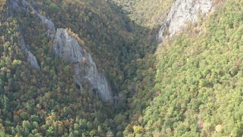 Overlooking a Valley in a Forest Stock Footage 266921557