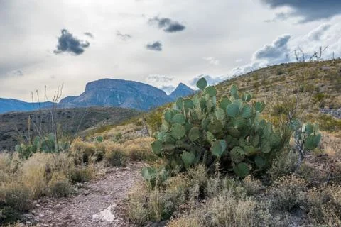 An overlooking view of Kartchner Caverns NP, Arizona Stock Photos