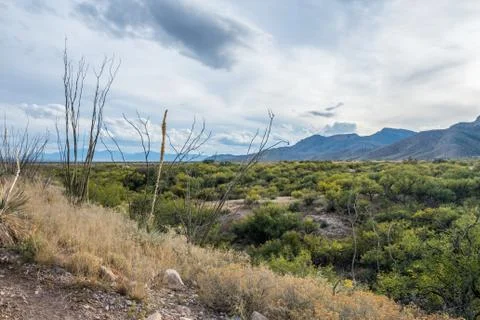 An overlooking view of Kartchner Caverns NP, Arizona Stock Photos