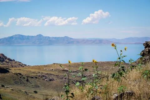 An overlooking view of nature in Antelope Island State Park, Utah Stock Photos