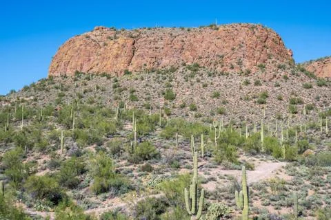 An overlooking view of nature in Apache Junction, Arizona Stock Photos