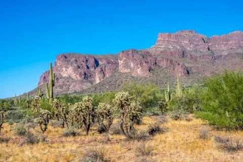 An overlooking view of nature in Apache Junction, Arizona Stock Photos