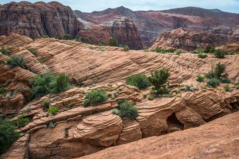 An overlooking view of nature in Snow Canyon State Park, Utah Stock Photos