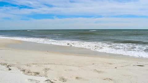 The overlooking view of the shore in Perdido Key State Park, Florida Stock Footage 158528222