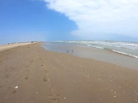 The overlooking view of the shore in South Padre Island, Texas Stock Footage 158728282