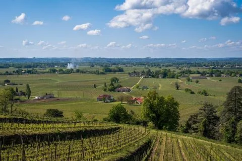 Overlooking Vineyards in St Emilion Stock Photos