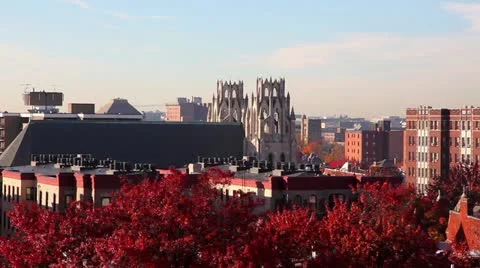 Overlooking Washington D.C. 動画素材 10878064