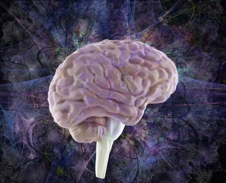 Overmind, brain activity, colored human brain model, 3d illustration Stock Illustration