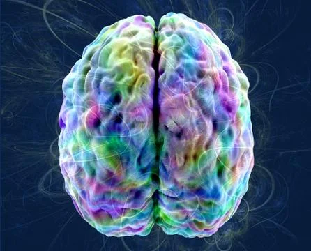 Overmind, brain activity, colored human overbrain model, view top Stock Illustration