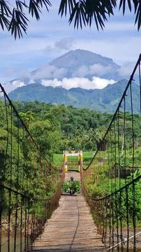Overpass Stock Photos
