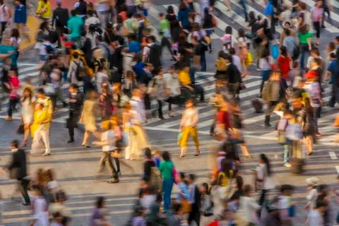 Overpopulation Stock Photos