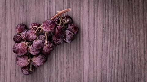 Overripe grapes Stock Photos